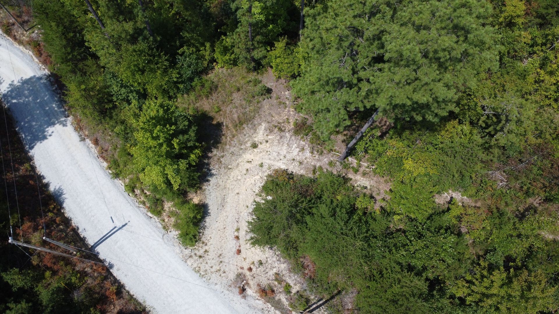 Aerial view of a dirt road curving through a wooded area with dense green foliage.