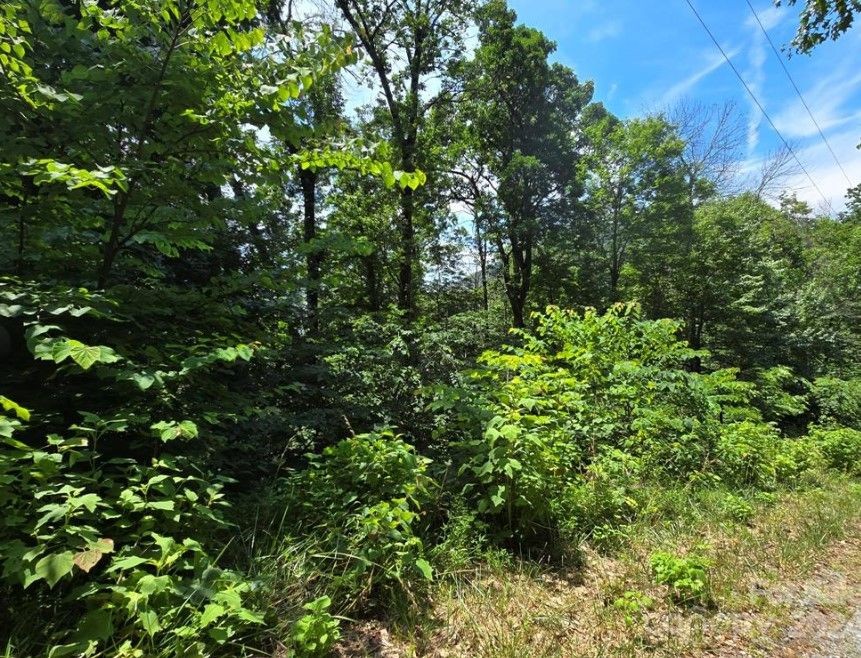 Beautiful Pinnacle Mountain lot/ lamd views  